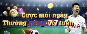 mwc77